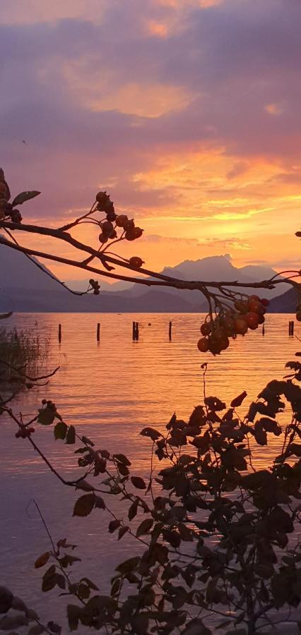 Ferienwohnung Ankerplatz Spiez Εξωτερικό φωτογραφία