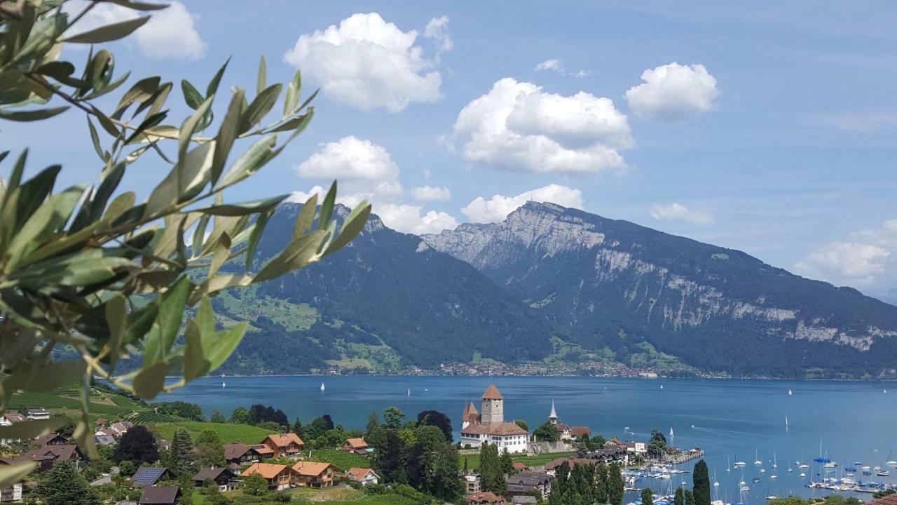 Ferienwohnung Ankerplatz Spiez Εξωτερικό φωτογραφία